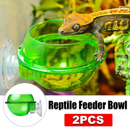 Suction Cup Reptile Feeder Anti-Escape Reptiles Water Bowl Live Fodder Container
