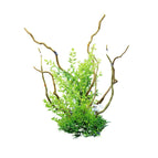 CM3901-Green