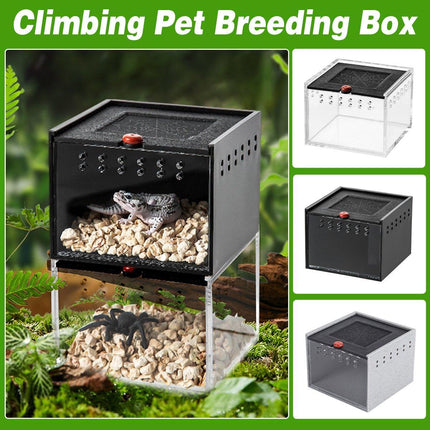  Lizard Reptile Breeding Box