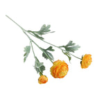 Light Orange