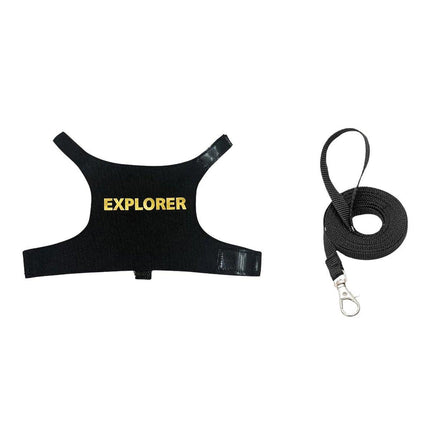 Lizard Clothing with Lead Rope Outdoor Climbing Pet Harness Comfortable Design