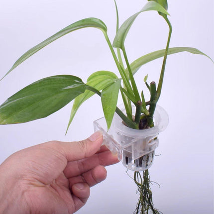 Adjustable Wall Mounted Aquatic Plant Cup for Emersed Plants Water Grass Holder