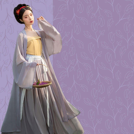 Hanfu Grey Beizi Coat Traditional Chinese Outerwear for Spring and Summer