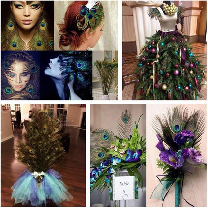 5-10PCS Natural Peacock Tail Eyes Feathers 75-80cm 26-30cm DIY Craft Vase Decor - Aimall