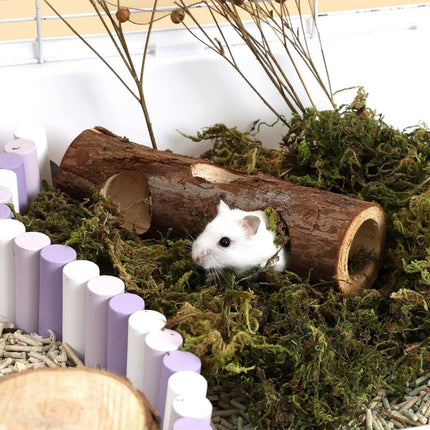 Solid Wood Hamster Pipe Rabbit Chew Toy Tree Cylinder Cross Border Pet Supplies