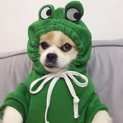 Warm Hooded Cartoon Frog Pet Clothes for Dogs and Cats Autumn Winter Vest