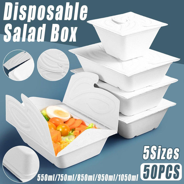 Healthy Fruit and Salad Lunch Box Portable White Light Food Storage Container