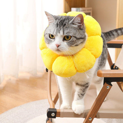 Sunflower Elizabeth Collar for Cats and Dogs Anti Licking Sterilization Headgear