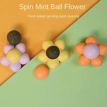 2PCS Cat Toy Catnip Ball Flower Tooth Cleaning Grinding Chew Kitten
