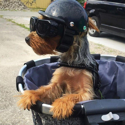 Motorcycle Pet Helmet Dog Cat Riding Hat Toy Accessory