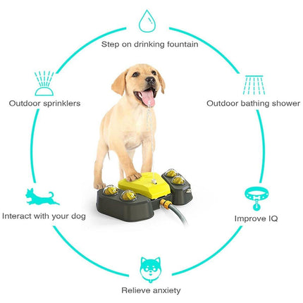 Automatic Water Feeder Dispenser with Bath Spray and Footstep Dog Toys for Pets