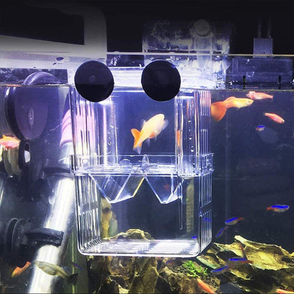 Guppy Breeding Aquarium Fish Tank Hatchery Isolation Breeder Rearing Box - Aimall