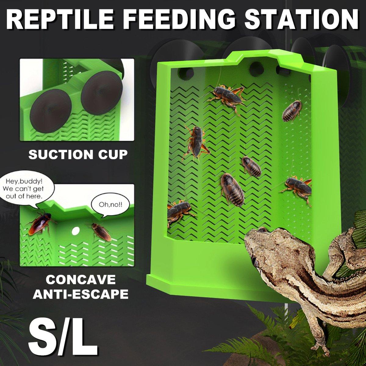 Dihtrap Reptile Hunting Dish Predator Trap Hanging and Placing Field Tool for ...