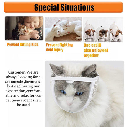 Breathable Kitten Headgear Clear Pet Mask Dog Anti Bite Scratch Protective Gear