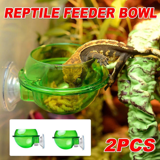Suction Cup Reptile Feeder Anti-Escape Reptiles Water Bowl Live Fodder Container