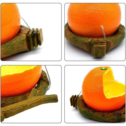 Parrot Feeding Bowl Fruit Shaped Water Food Container Dish Cage Bird Feeder Cup - Aimall