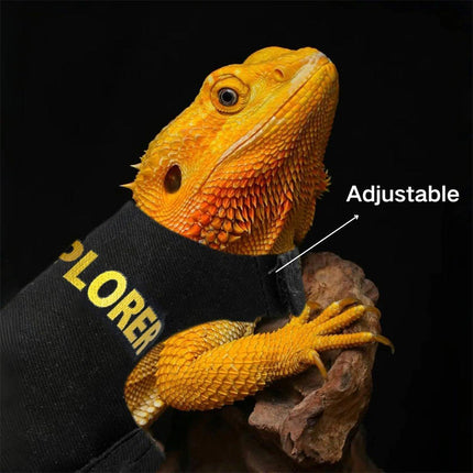 Lizard Clothing with Lead Rope Outdoor Climbing Pet Harness Comfortable Design