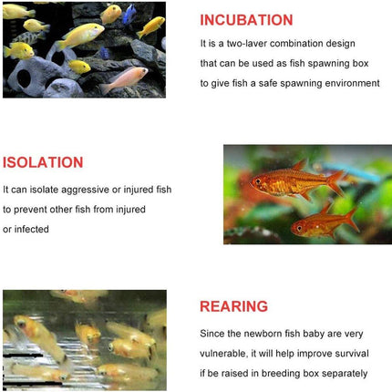 Outboard Isolation Breeding Box Guppy Hatch Feeding Pneumatic Electric Fish Tank