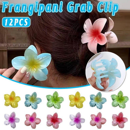 12pcs Gradient Candy Colour Flower Hair Clips Stylish Accessories for Women