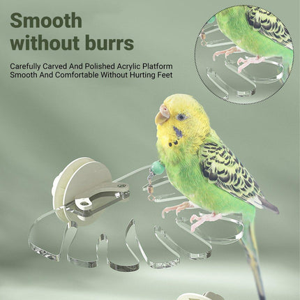 Durable Acrylic Parrot Stand Perch Stick Pole for Bird Cage Play Gym Training