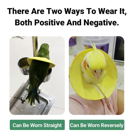 Parrots Birds Anti Bite Pecking Protection Collar Adjustable Pet Safety Guard