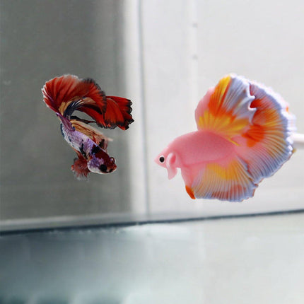 Fish Teaser Stick Interactive Training Pen Toy for Fish Tank Fun and Engagement