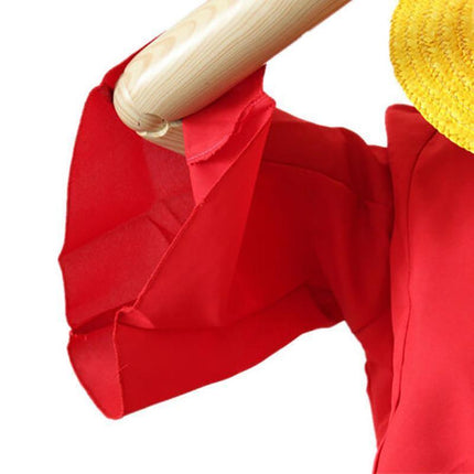 ONE PIECE Monkey D Luffy 2 Years Later Cosplay Costume with Hat Book Week Outfit AU - Aimall
