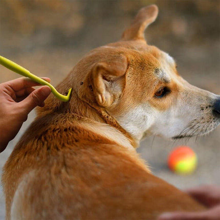 3PCS Tick Removal Tool Set Pet Dog Cat Flea Picker Twist Hook Scratching Remover - Aimall