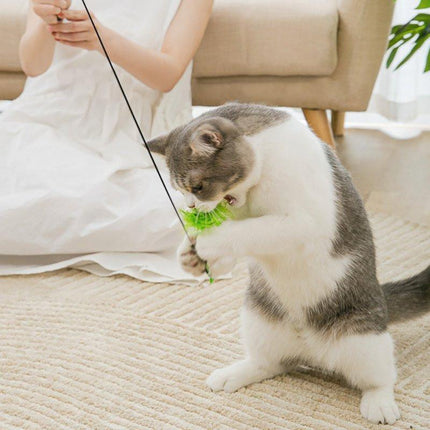 Cat Play Toy Simulation Birds Teaser Wand Interactive Stick with Suction Cup AU - Aimall