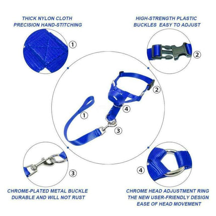 Blue Dog Training Head Collar Halter Stop Pulling Training Tool Harness Strap Leader - Aimall