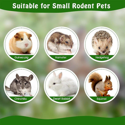 Natural Rabbit Molar Snacks Hamster Branches Sweet Bamboo Grinding Teeth Wood