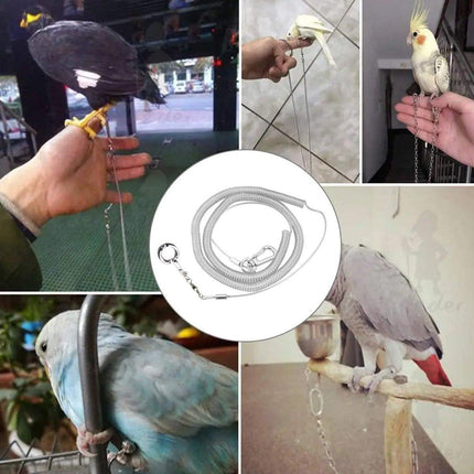 Parrot Leg Ring Anti Slip Bird Anklet Elastic Rope with Alloy Fasteners Supplies