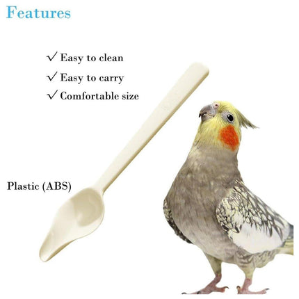 5pcs Parakeet Feeding Spoons Baby Bird Milk Powder Hand-Raised Feeding Tool