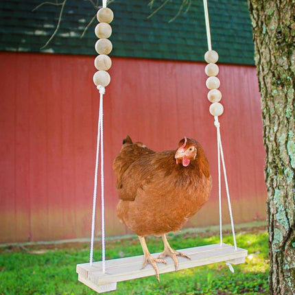 Chicken Hen Rooster Pet Swing Hanging Suspension Bridge Poultry Coop Toy Fun