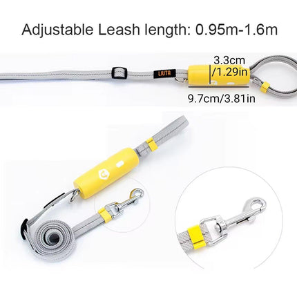 Nylon Leash for Small Medium Dogs Durable Adjustable Walking Lead Strap