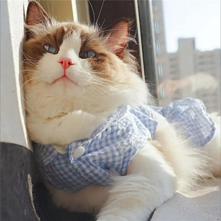 Cute Small Dog Dress Puppy Clothing Pet Apparel for Summer Fashion Outfit