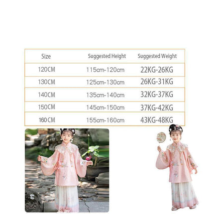 Chinese Girls Embroidered Dress Floral Tang Suit Hanfu Fairy Ancient Costume New - Aimall