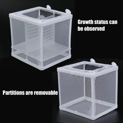Guppy Fry Breeding Box Fish Tank Isolation Box Juvenile Fish Incubator Net