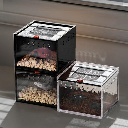  Lizard Reptile Breeding Box