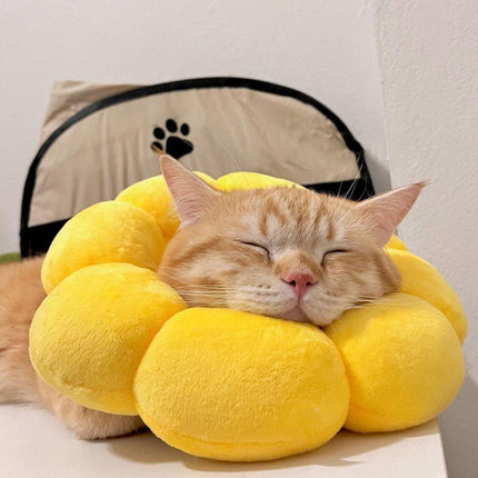 Sunflower Elizabeth Collar for Cats and Dogs Anti Licking Sterilization Headgear