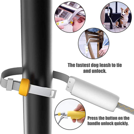 Nylon Leash for Small Medium Dogs Durable Adjustable Walking Lead Strap