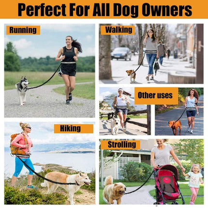 Pet Running Belt Multicolour Reflective Waist Pack with Traction Rope and Collar