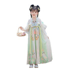 Girl Ancient Hanfu Embroidered Tang Suit Chinese Traditional Dress Princess - Aimall