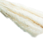 White(A 15PCS)