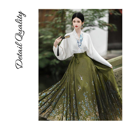 Spring Autumn Hanfu Set for Women Improved Daily Wear Commuting Horse Skirt