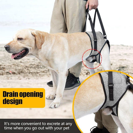 Decompression Back Leg Strap for Injured and Older Dogs Support Harness Aid