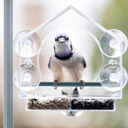 Large Window Bird Feeder Strong Suction Cups Superior Design Lifetime Guarantee - Aimall