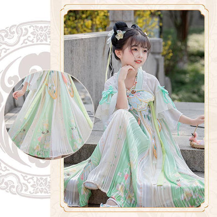 Girl Ancient Hanfu Embroidered Tang Suit Chinese Traditional Dress Princess - Aimall