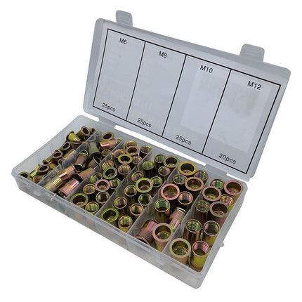 95PCS Carbon Steel Rivet Nuts Flange Blind Nutserts M6 - M12 Rivnut Kit - Aimall