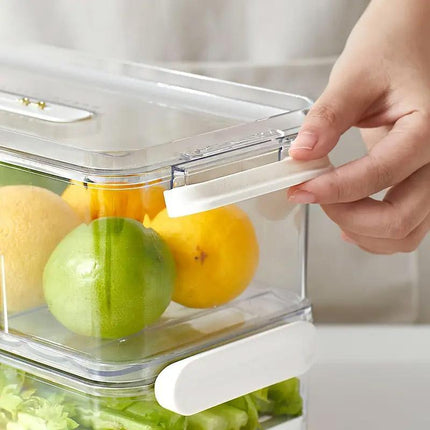 2pcs Food Storage Containers Kitchen Fridge Fresh Storage Boxes Home Organizer